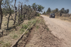 sustitucion-martinez-valadez-03